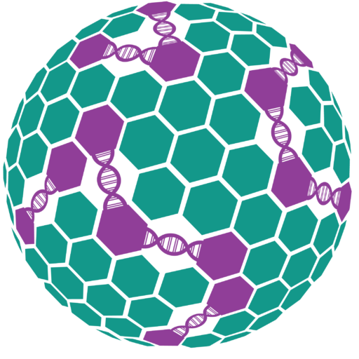 A sphere made of green hexagons and purple pentagons, each pentagon featuring a stylized DNA double helix design.